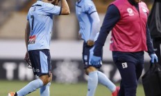 九游VIP-阿德莱德联士气高昂，连胜晋级四强的简单介绍